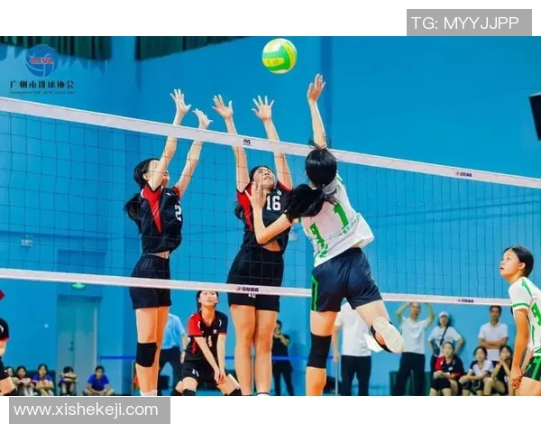 广州排球队技术揭秘：排球巨献背后的训练与战术分析