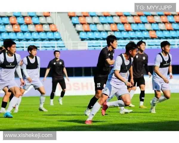 杭州足球队的崛起与发展探讨及其在中国足球中的影响力分析