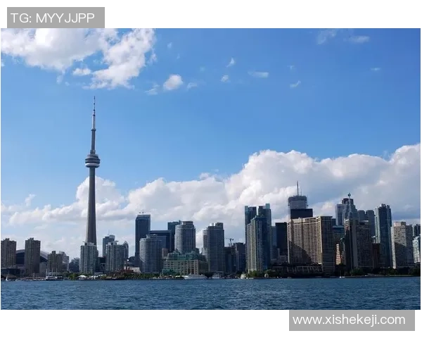 加拿大足球明星及其在国际赛场上的杰出表现与成就分析