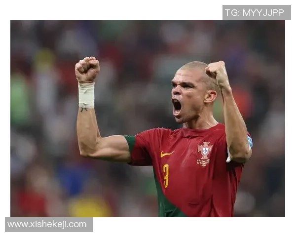 怀念绿茵传奇去世足球明星名单及其辉煌生涯回顾