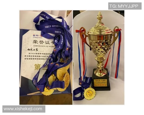 杭州羽毛球队与南京羽毛球队赛后复盘分析比赛经验与战术策略