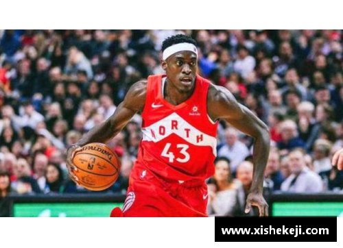 NBA主场魔力：球队胜率背后的不可思议效应