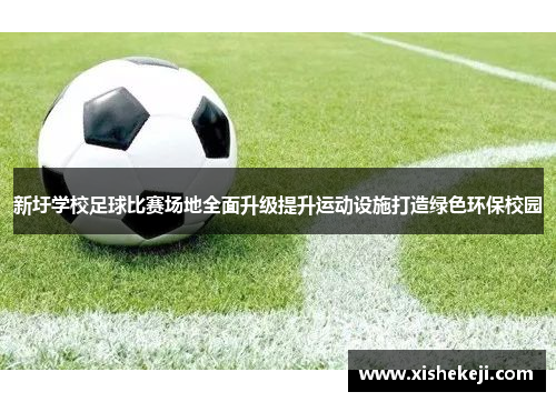 新圩学校足球比赛场地全面升级提升运动设施打造绿色环保校园