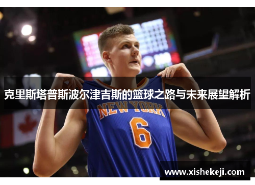 克里斯塔普斯波尔津吉斯的篮球之路与未来展望解析